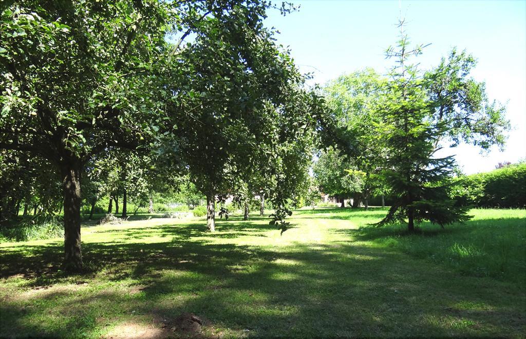 博沃Le Chemin D'Ulphe住宿加早餐旅馆 外观 照片